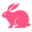 pixabay